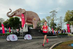 BIB: 
                            <button type="button" onclick="openModal(26529155)" class="btn btn-primary btn-sm float-right btn-popup" data-toggle="modal" data-target=".modal-high-quality">
                        <i class="fas fa-shopping-cart"></i> Add to Cart
                    </button>
                                            <button type="button" onclick="isThisMe(26529155, true)" class="btn btn-success btn-sm float-right btn-popup btn-isme hidden" data-toggle="tooltip" data-placement="bottom" title="นี่คือรูปของคุณใช่ไหม คลิกที่นี่เพื่อเอาเข้าอัลบั้ม">
                        <i class="fas fa-plus"></i> Add to album
                    </button>
                    <button type="button" onclick="isThisMe(26529155, false)" class="btn btn-warning btn-sm float-right btn-popup btn-isnotme hidden">
                        <i class="fas fa-ban"></i> Remove from album
                    </button>